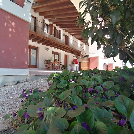 Agriturismo Il Salice Ridente Pasiano Di Pordenone Exterior photo